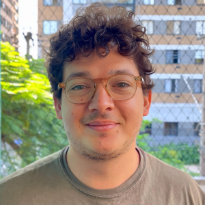 Mauritz Gregorio de Vries